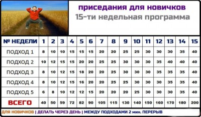 Приседания для новичков - 15 недельная программа