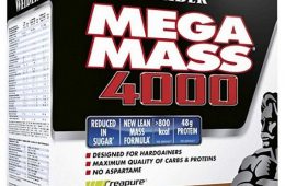 Mega Mass 4000