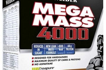 Mega Mass 4000