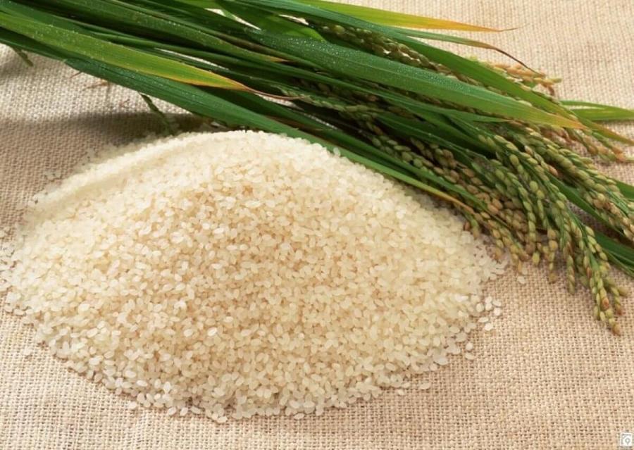 Рисовая диета для похудения и очищения организма. Отзывы и результаты