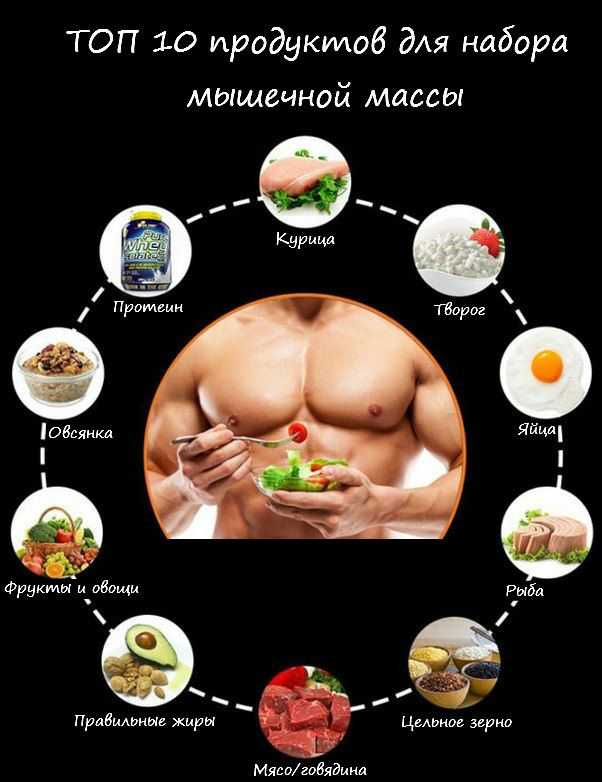 Топ 10 продуктов для набора мышечной массы