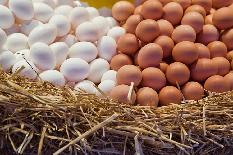 Какие яйца полезнее – белые или коричневые?