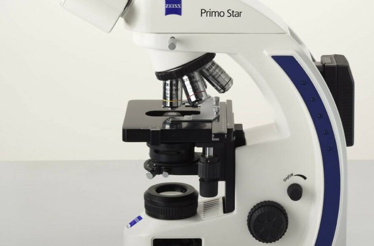 Использование микроскопа Carl Zeiss Primo Star в образовательных учреждениях: основные преимущества и возможности