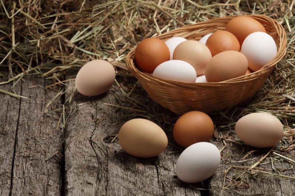 Интересные факты о куриных яйцах