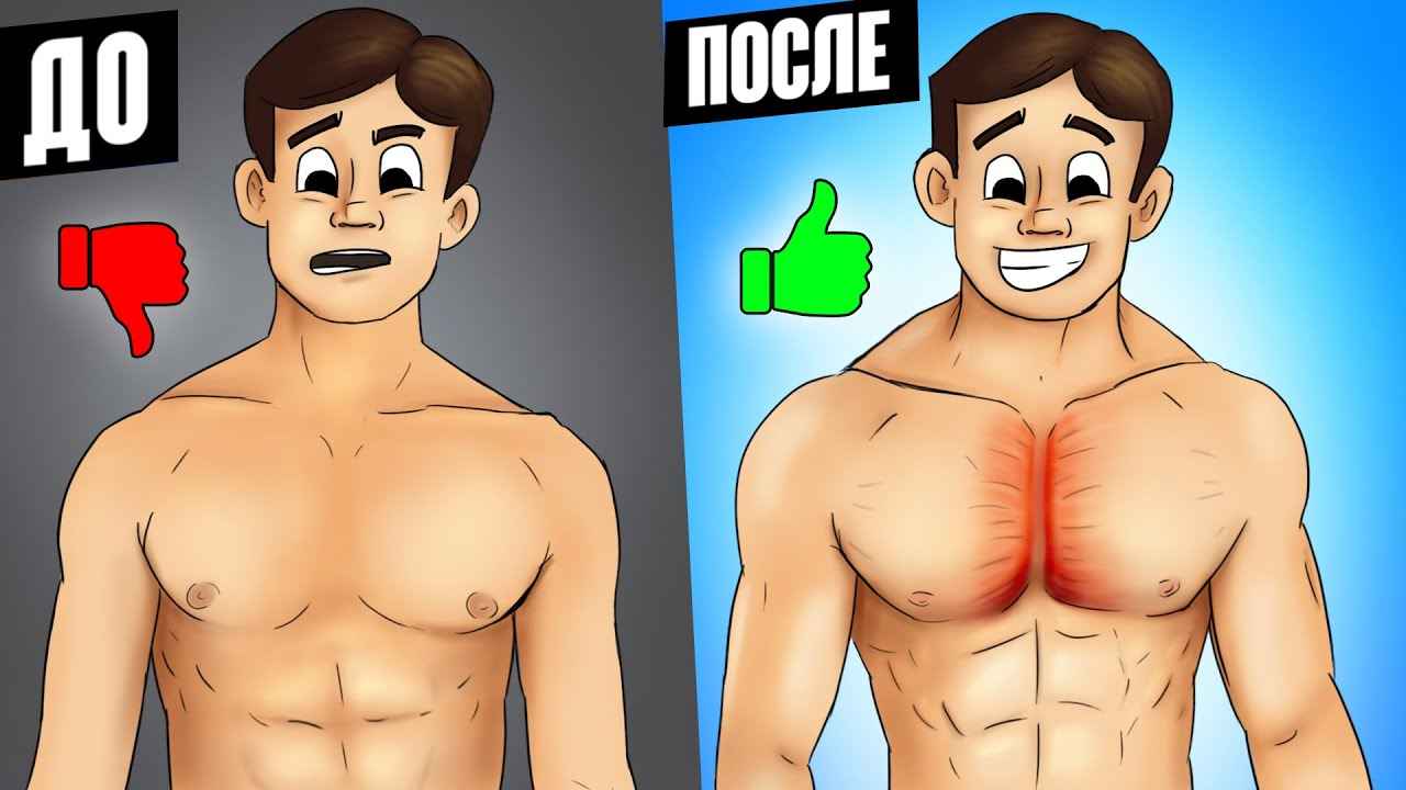 Как правильно качать грудные мышцы