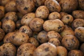 Калорийность и пищевая ценность картофеля
